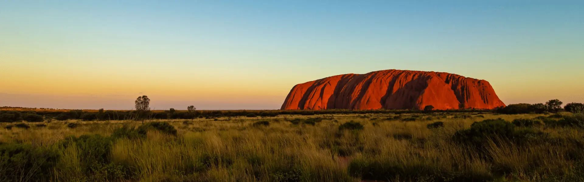 Image Offer Banner - Content Left Aligned – Work Australia Rock Your World.png